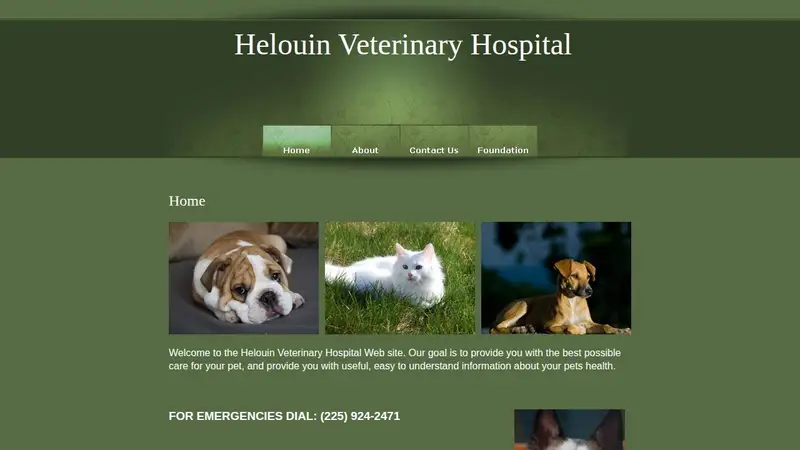 Helouin Veterinary Hospital preview