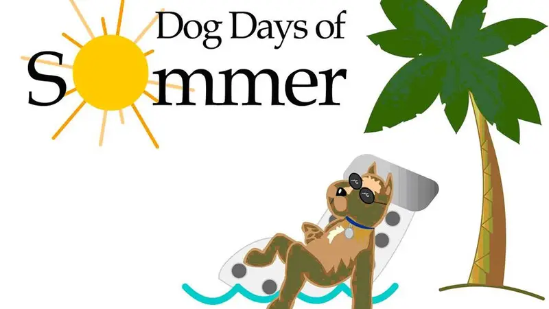 Dog Days Of Sommer preview