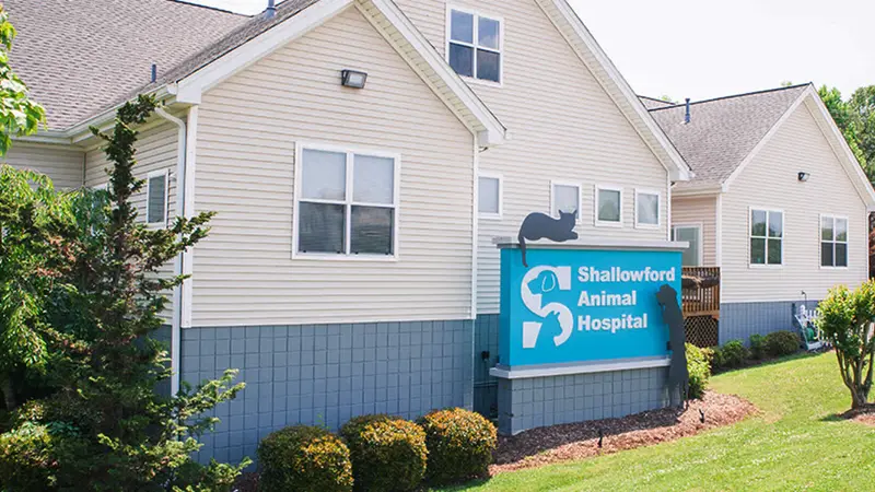 Shallowford Animal Hospital preview
