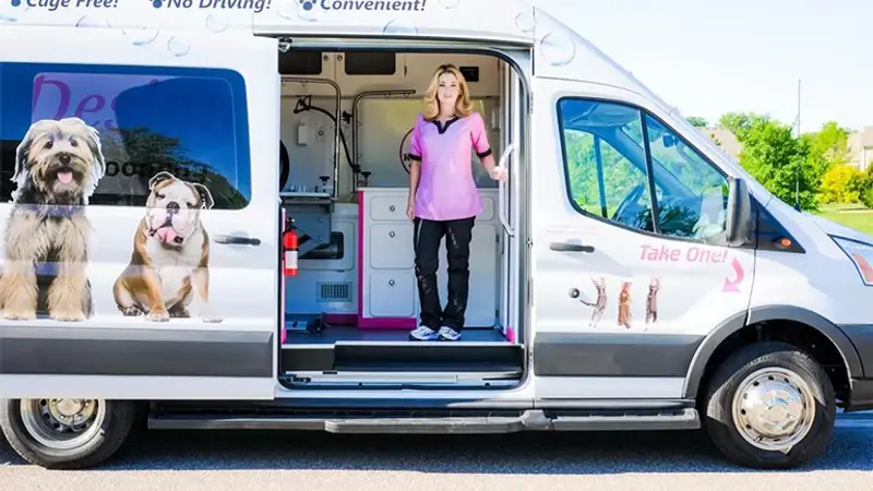 K9 Design Pet Salon and Mobile Grooming preview