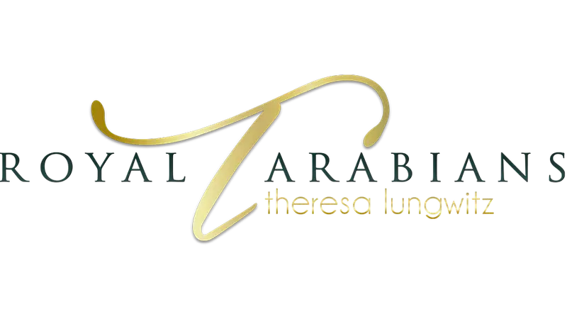 Royal T Arabians preview