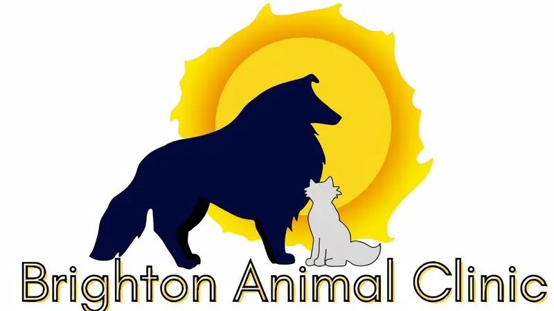 Brighton Animal Clinic preview