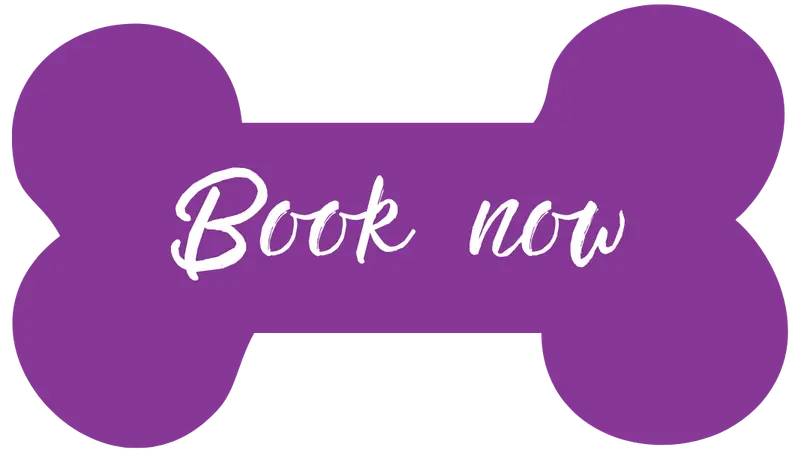 Lucky Dog Pet Retreat and Spa preview
