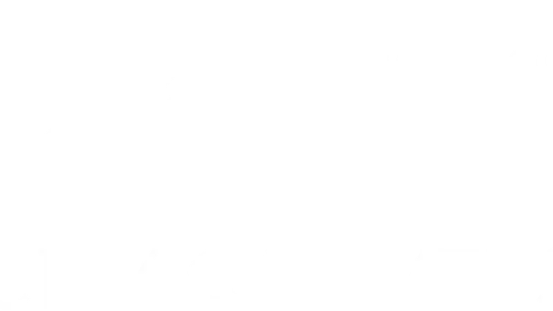 City Cat Vets preview