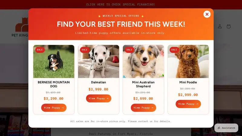 Pet Kingdom preview