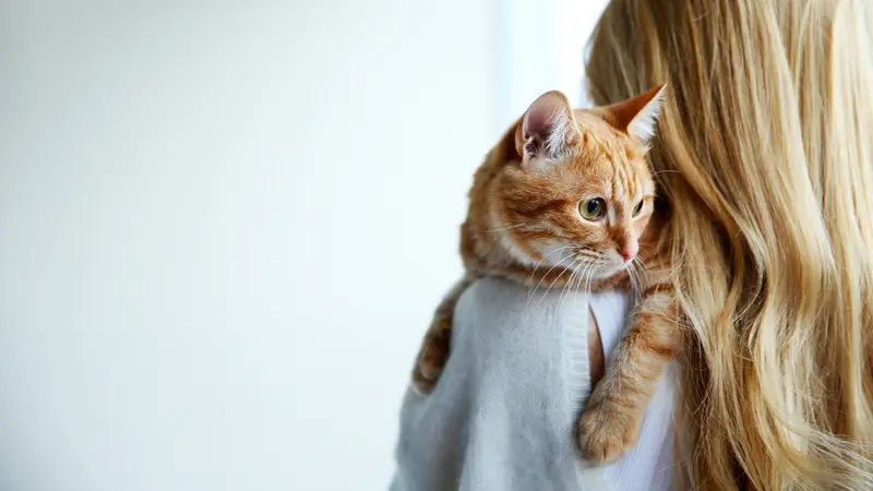 Pet Haven Veterinary Clinic preview