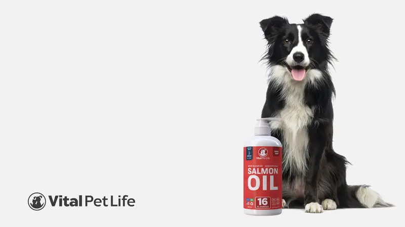 Vital Pet Life preview