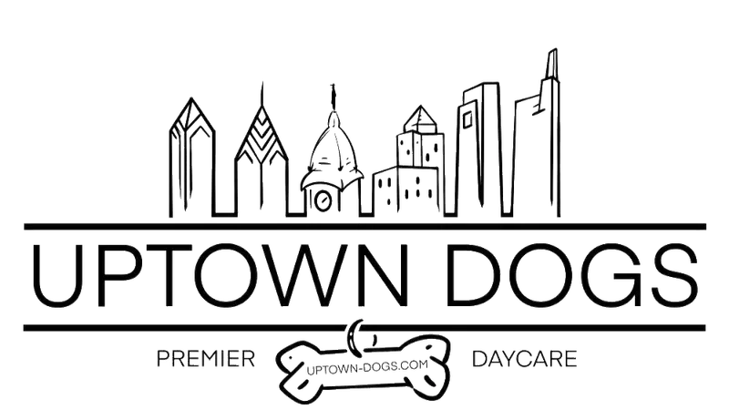 Uptown Dogs preview