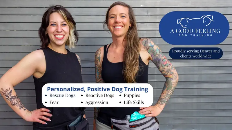 Rachel Laurie Harris - A Good Feeling Dog Training preview
