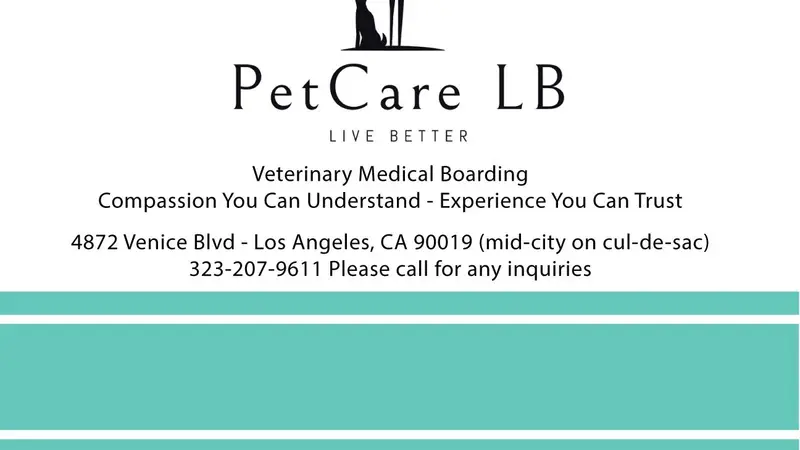 PetCare LB preview