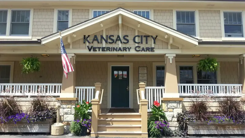 Kansas City Veterinary Care preview