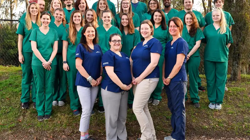 Novey Animal Hospital preview