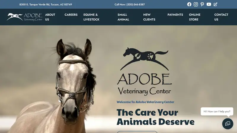 Adobe Veterinary Center preview