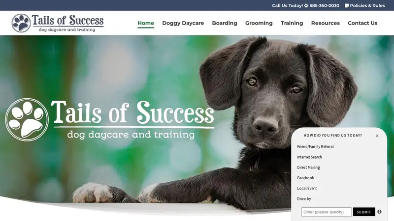 Tails of Success preview