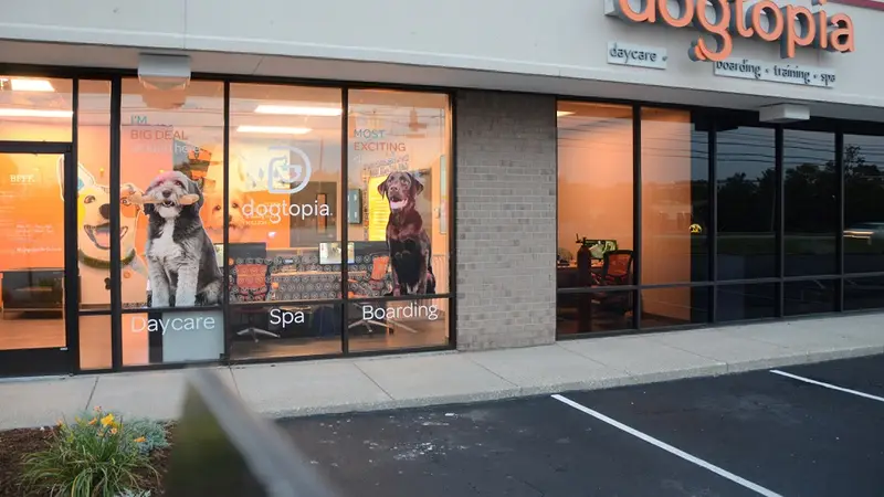 Dogtopia of Louisville Hurstbourne preview
