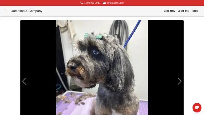 Jameson and Company Dog Grooming preview