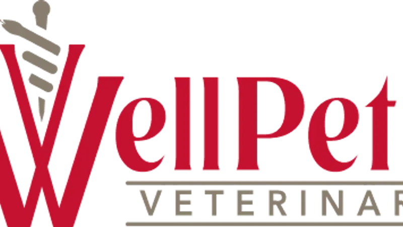 The WellPet Center Veterinary Hospital preview