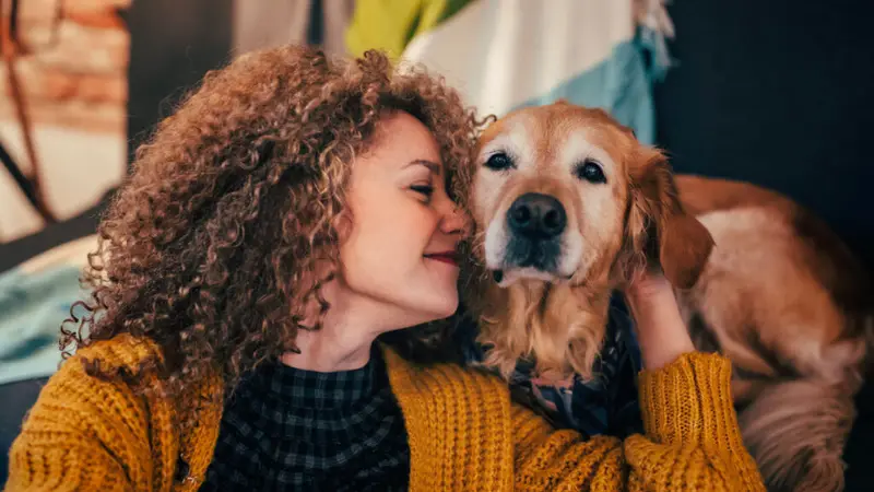 BluePearl Pet Hospice - Houston preview