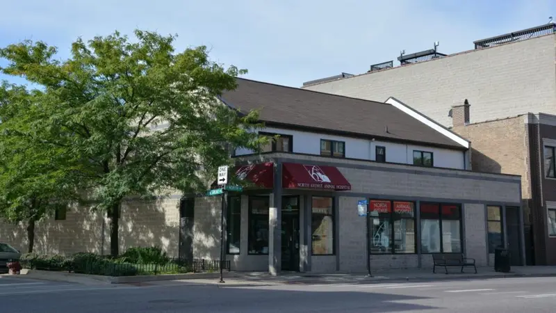 North Avenue Animal Hospital preview