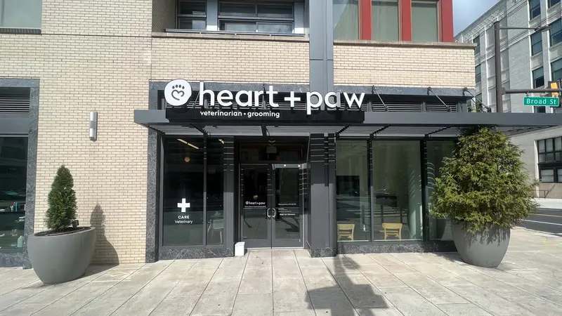 Heart + Paw preview