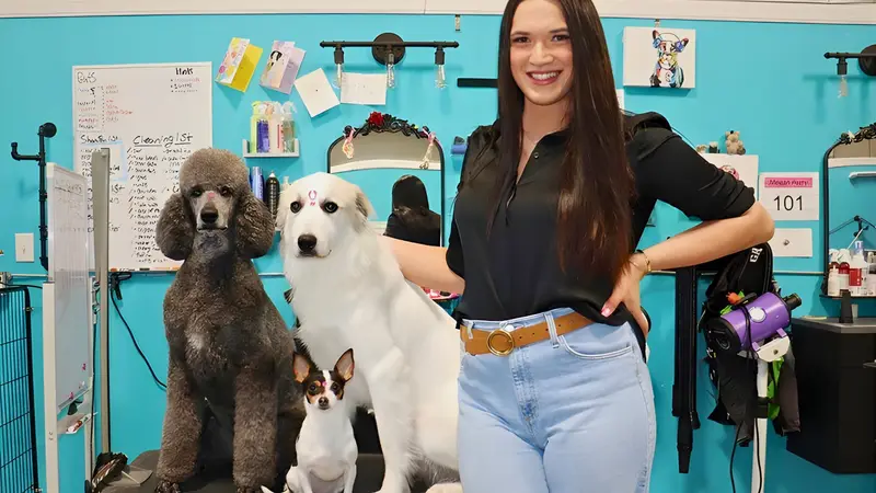 The Sarasota Dog Salon preview