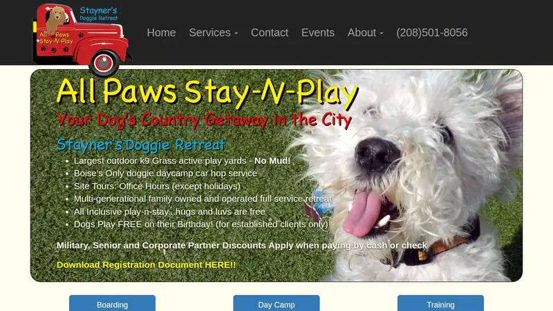 All Paws Stay-N-Play preview