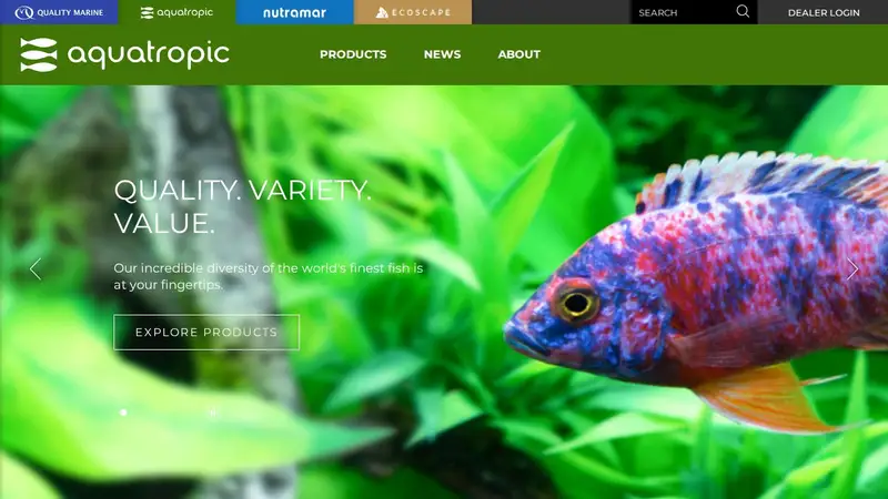 Aquatropic preview