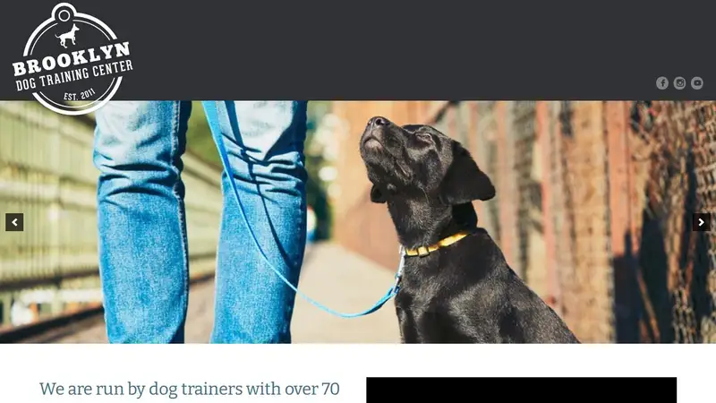 Brooklyn Dog Training Center preview