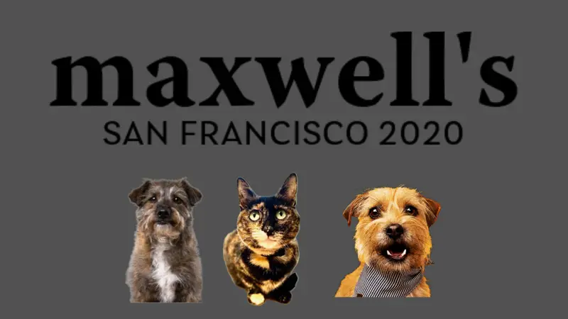 Maxwell's Pet Bar preview