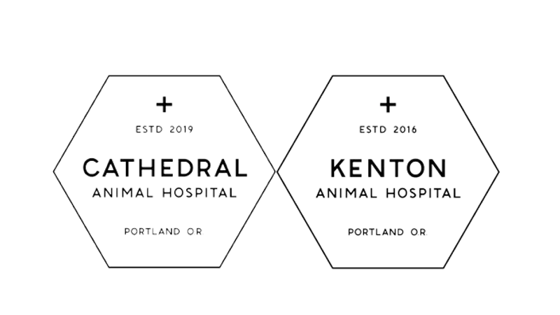 Kenton Animal Hospital preview