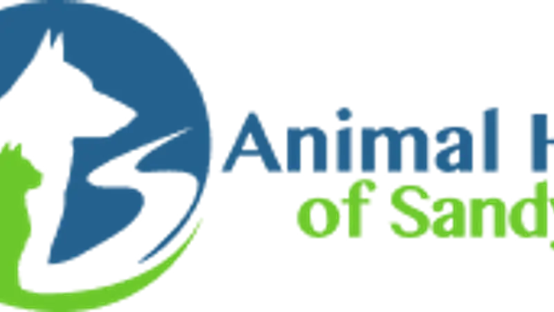Animal Hospital of Sandy Springs preview
