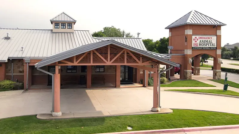 Dallas Veterinary Surgical Center (DVSC) - Plano preview