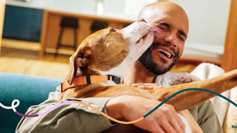Westchase Veterinary Center and Emergency preview
