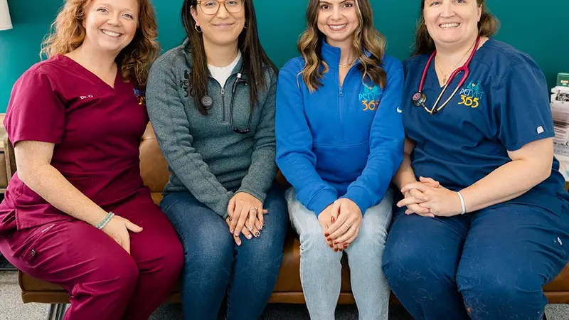 PetVet365 Pet Hospital preview