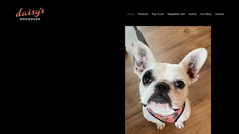 Daisy's Doghouse preview