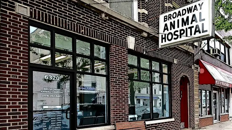 Broadway Animal Hospital preview