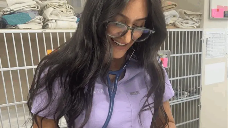 Palma Sola Animal Clinic preview