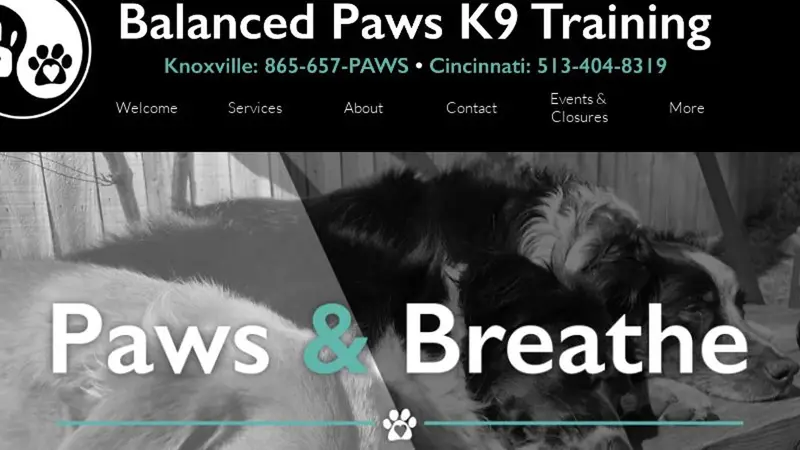 Balanced Paws K9 Training preview