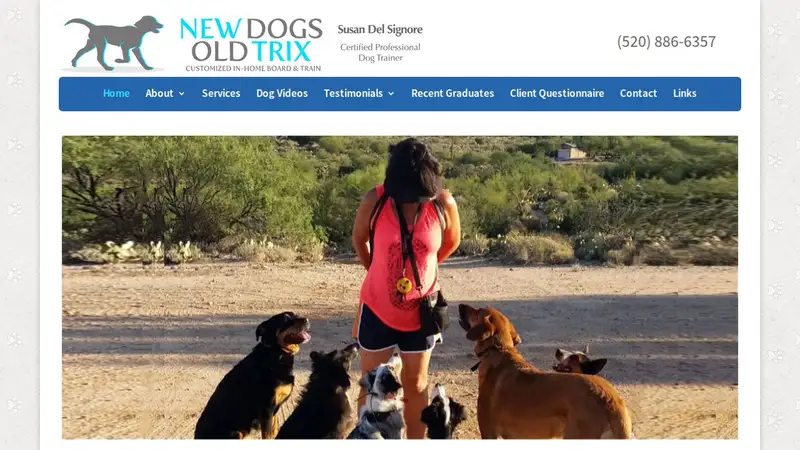 New Dogs - Old Trix preview