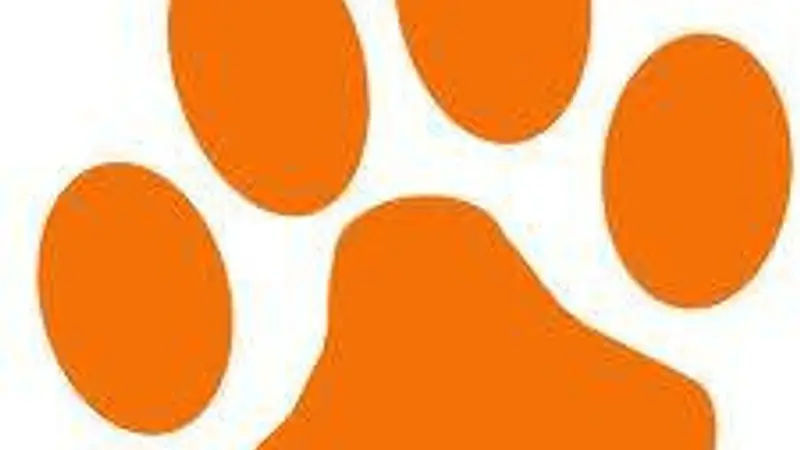 Canine Companion Consulting preview