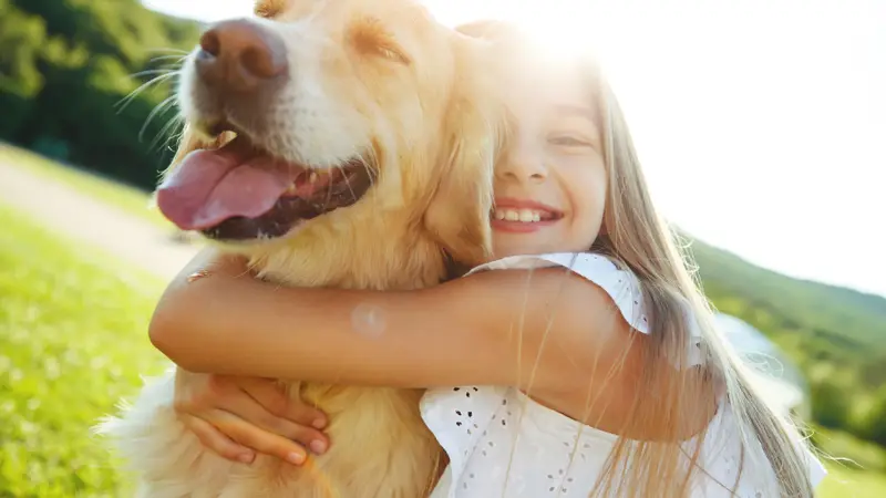 Pet Samaritan Clinic preview