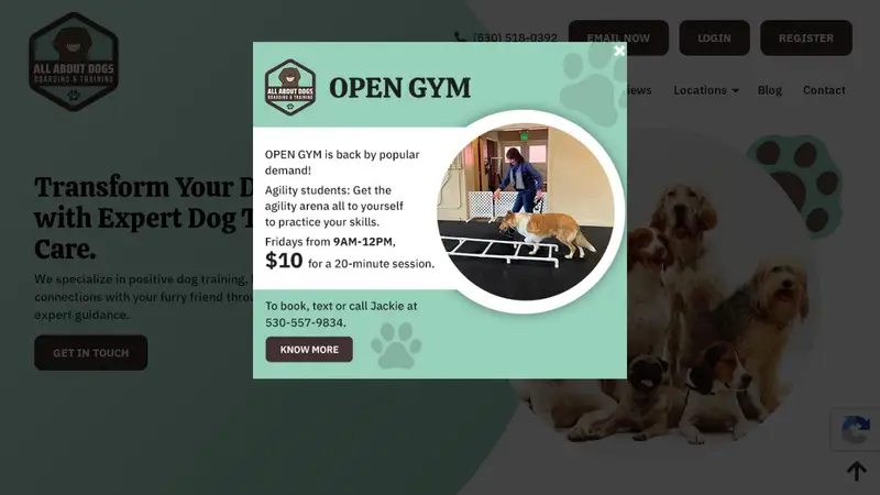 All About Dogs Training Center preview