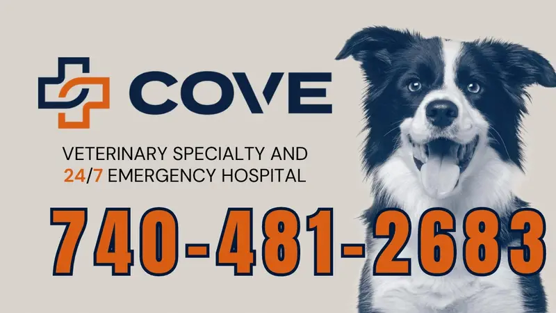 COVE Pet Care - Columbus preview