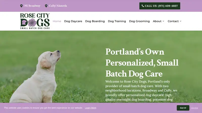 Rose City Dogs- Broadway preview