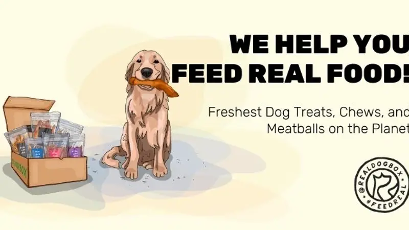 Real Dog Box preview