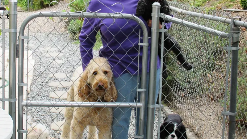 Sue's Critter Care preview