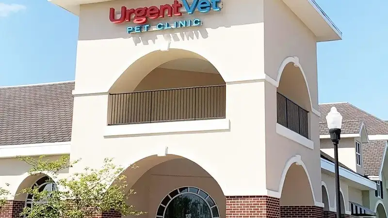 UrgentVet preview