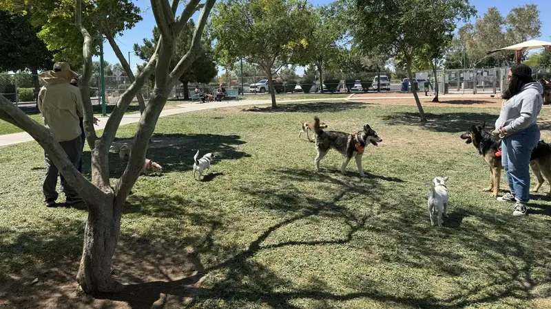 Craig Ranch Regional Park Dog Park And Dog Run preview