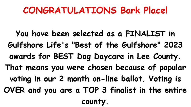 Bark Place - Where K-9s Always Come 1st preview