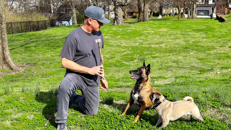 Sit Happens Dog Training Nashville preview